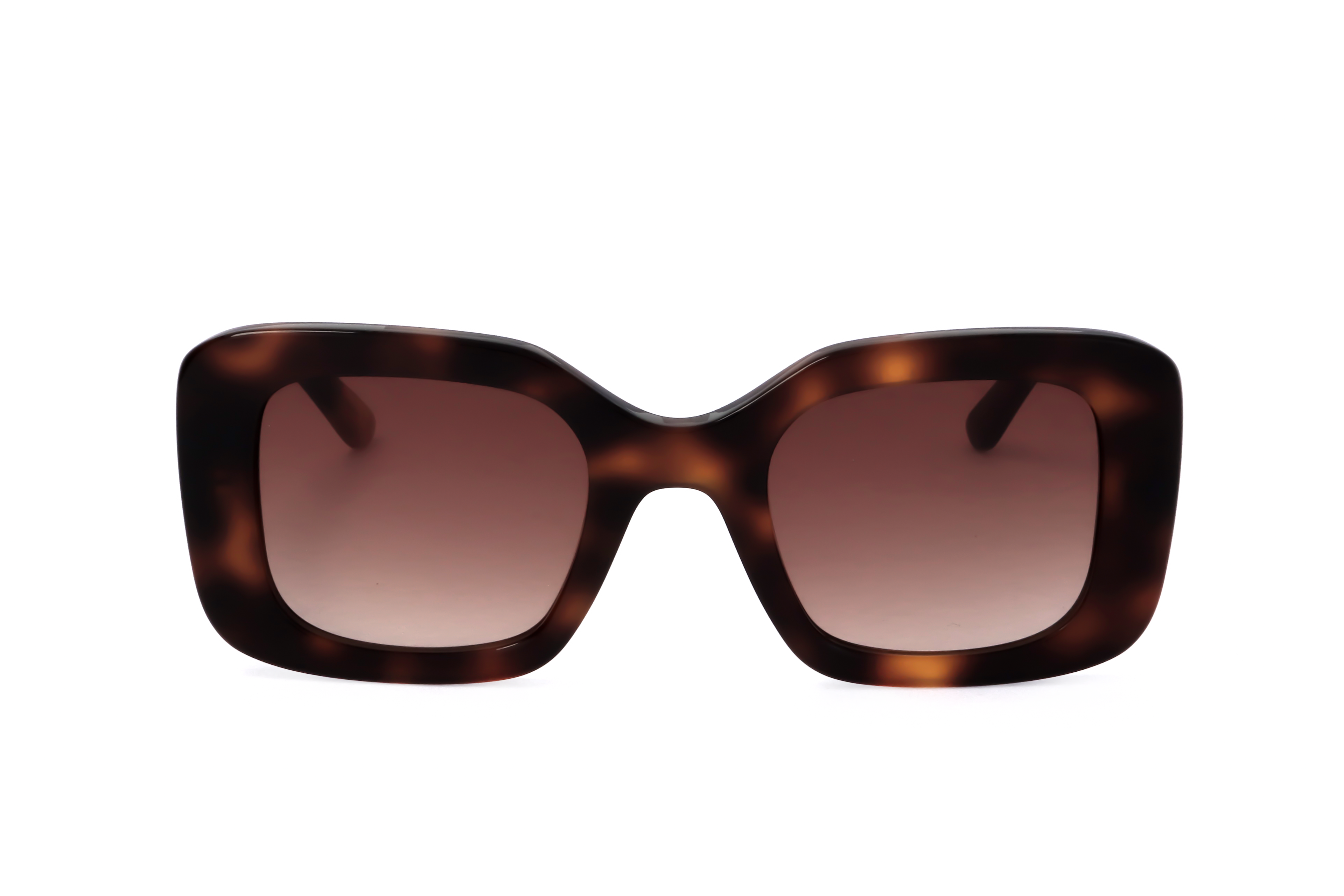 BLONDE TORTOISE variant main image