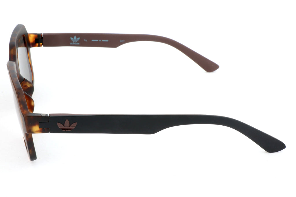BROWN variant third image