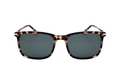 KHAKI TORTOISE variant main image