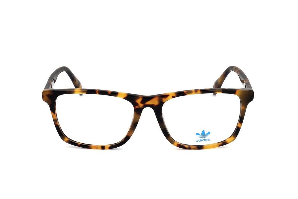 TORTOISE variant main image