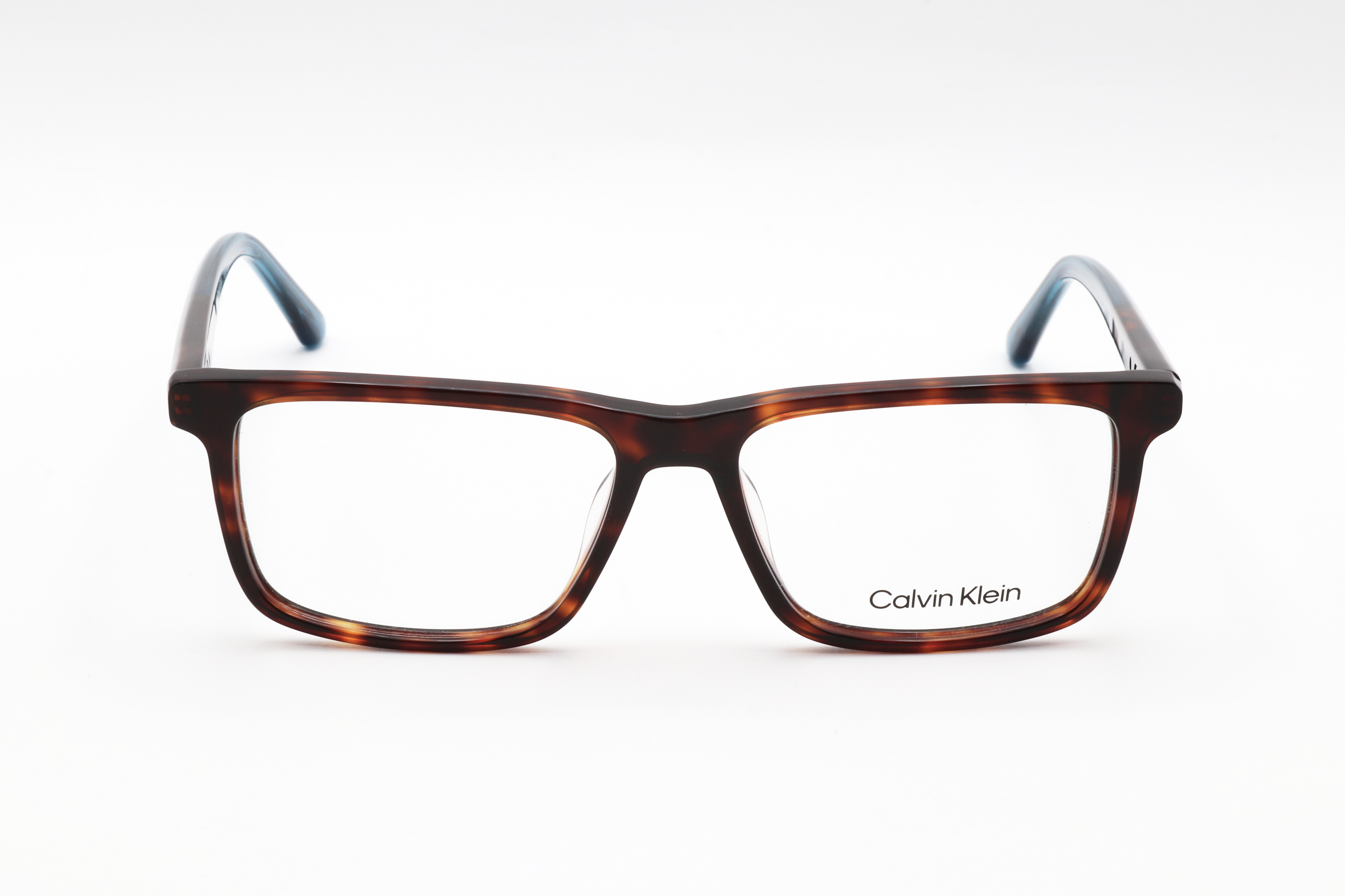 TORTOISE variant main image
